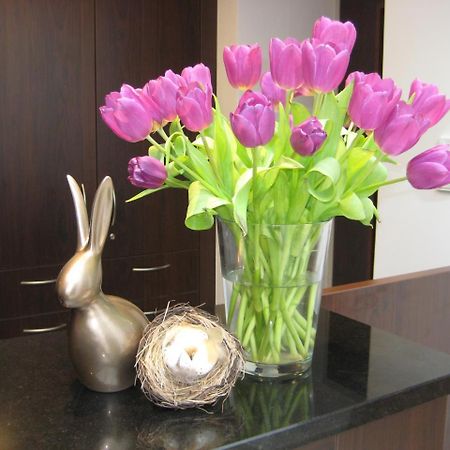 Wohlfuehl-Hotel Neu ไฮเดลเบิร์ก ภายนอก รูปภาพ