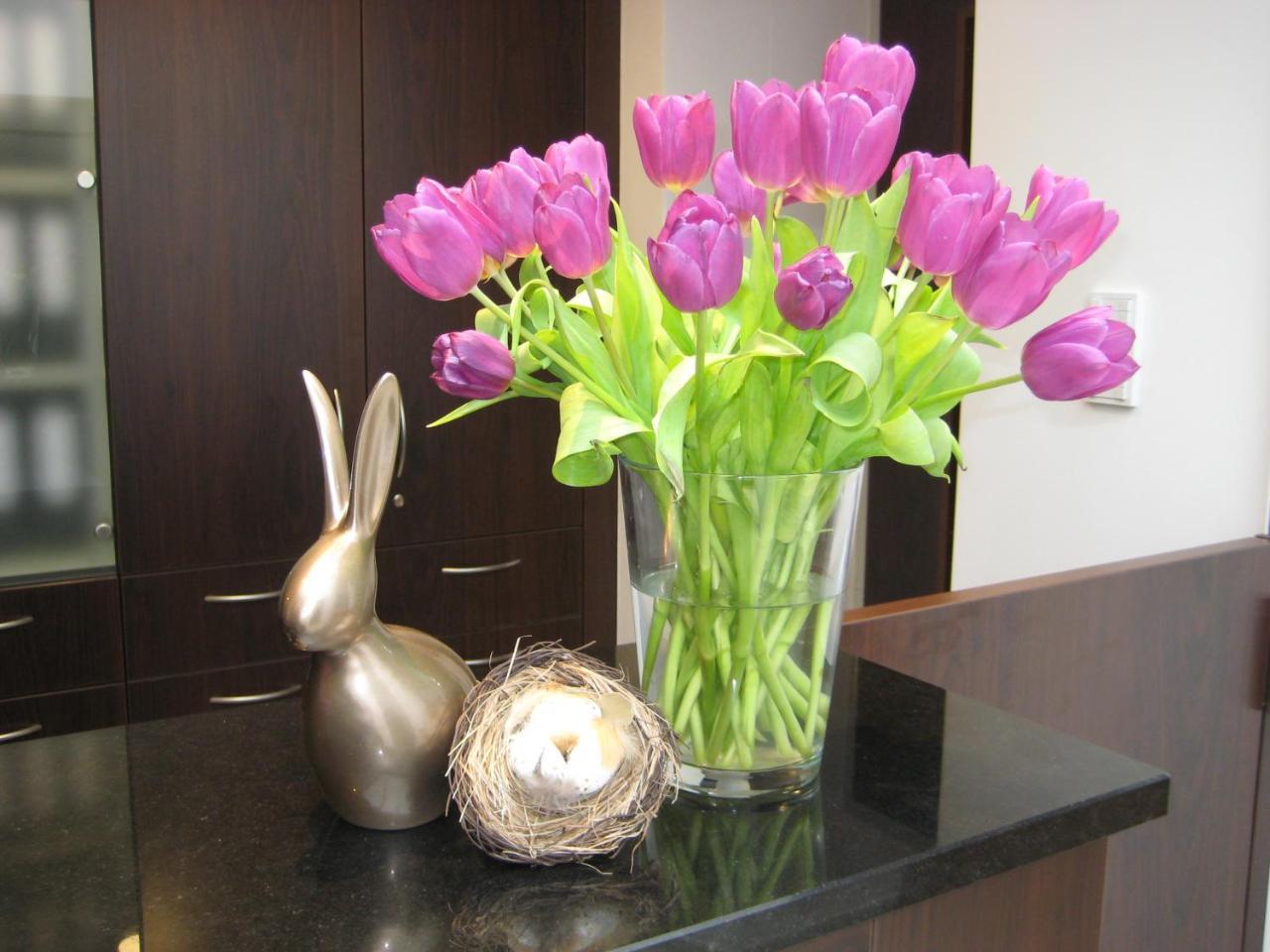 Wohlfuehl-Hotel Neu ไฮเดลเบิร์ก ภายนอก รูปภาพ